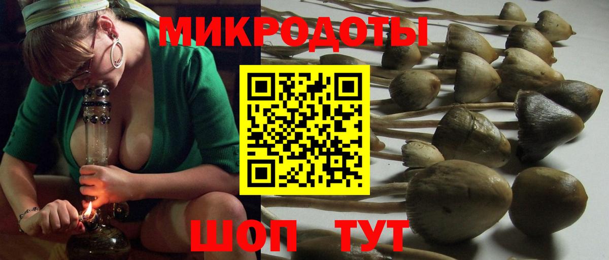 Псилоцибиновые грибы GOLDEN TEACHER  Вход с VPN  Галлюциногенные грибы мухоморы  Тутаев 