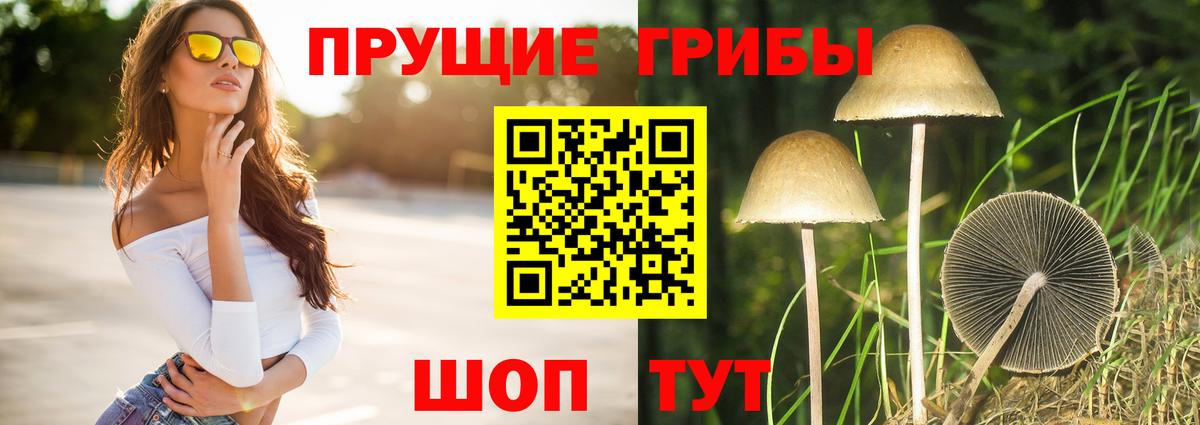 Псилоцибиновые грибы MAGIC MUSHROOMS Тутаев